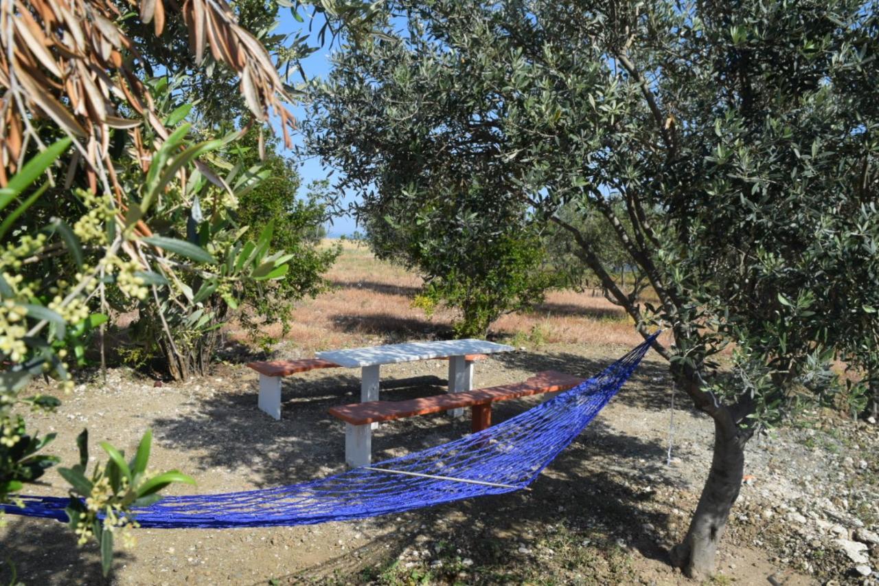Mersinera Paradise Garden Stars House Larnaca Eksteriør billede