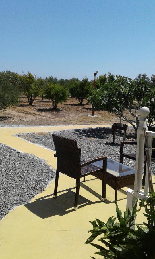 Mersinera Paradise Garden Stars House Larnaca Eksteriør billede