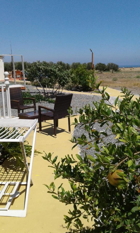 Mersinera Paradise Garden Stars House Larnaca Eksteriør billede