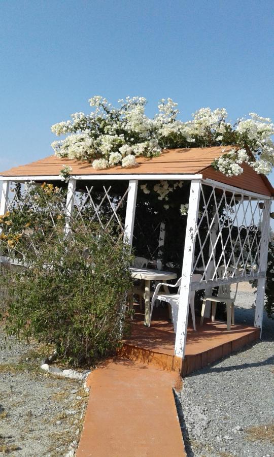 Mersinera Paradise Garden Stars House Larnaca Eksteriør billede